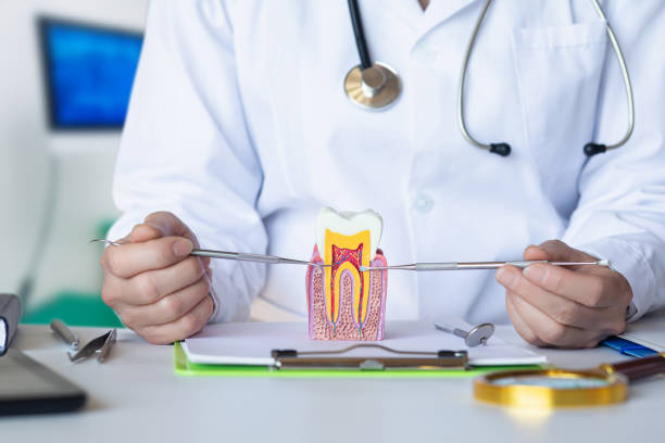 Best Emergency Dentist for Knocked-Out Tooth in Innotion, VA